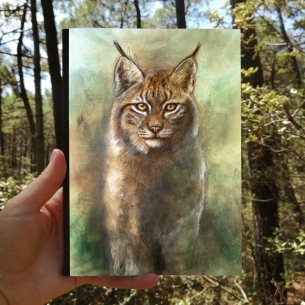 Carnet de croquis Lynx