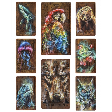 Jeu de Tarot - SANDROT - lien revendeur